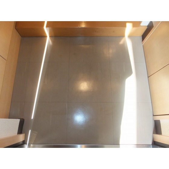 サンクレイドルレヴィール池袋0506号室 玄関