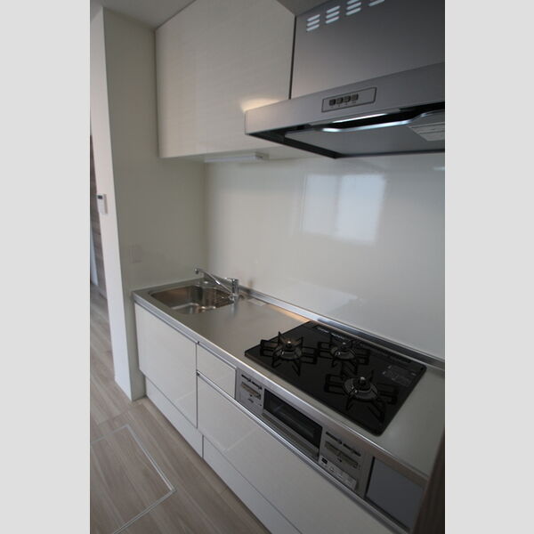 セレスティア南花畑Ⅱ102号室 キッチン