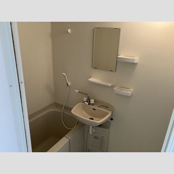 ハイムカメリア215号室 浴室