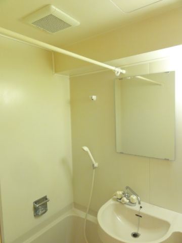 スカイコート新宿第10202号室 洗面