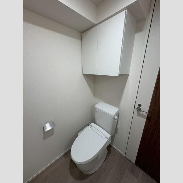 MAXIV武蔵新城TRE206号室 洗面