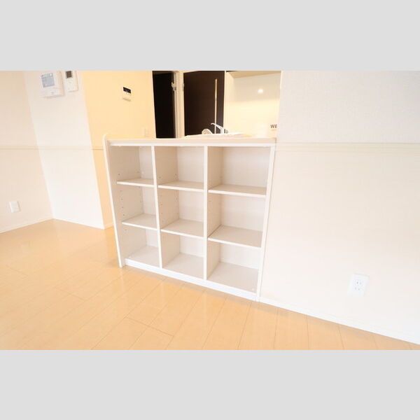 アミティエ205号室 リビング　収納