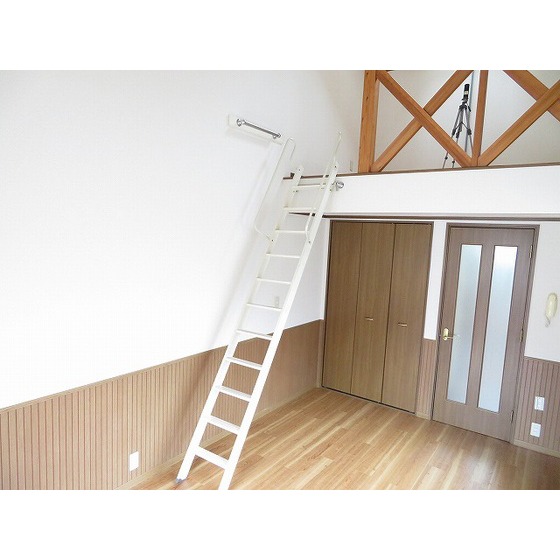 ベルクハイム0205号室 ハシゴ