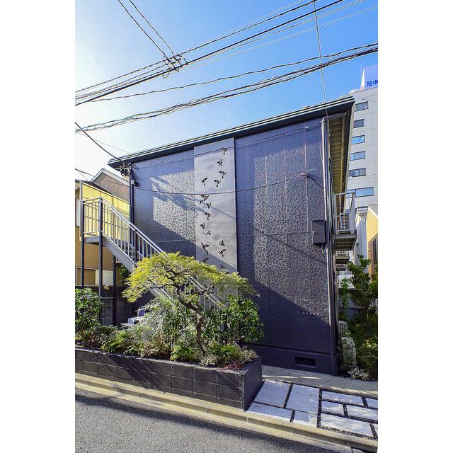 ヨツヤソウの外観画像