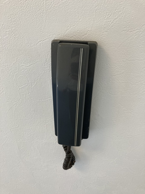 サファイアマンション103号室 インターホン