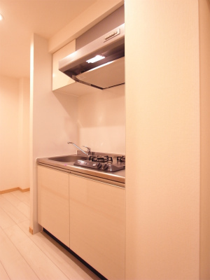 リブリ・GLANZ キッチン