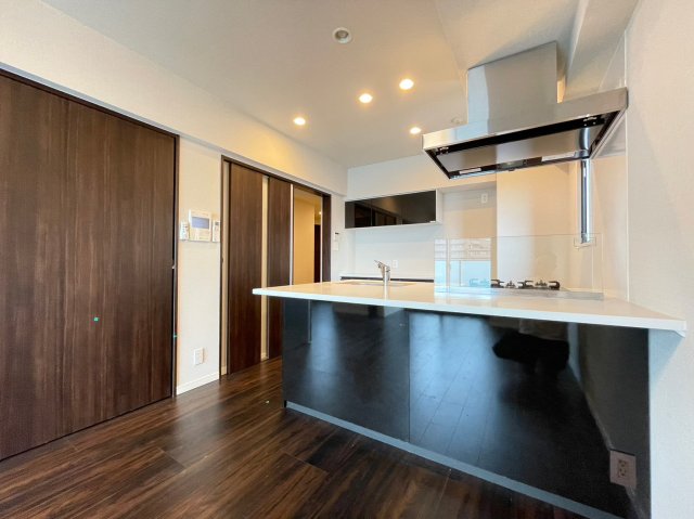 DIPS十条仲原WEST キッチン