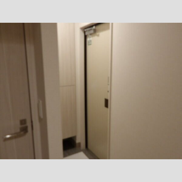 Cradle(クレイドル) 玄関