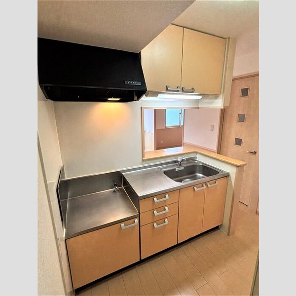 アネシス203号室 対面キッチン