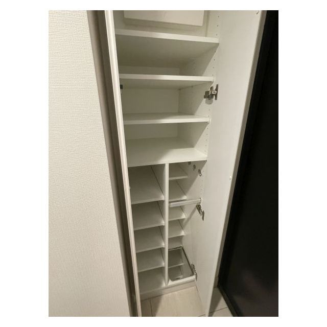 オープンブルーム川口並木0501号室 玄関