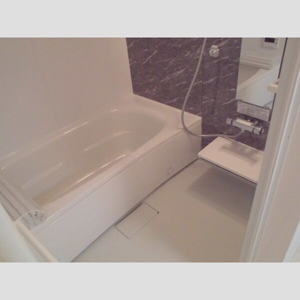 シーガル203号室 浴室