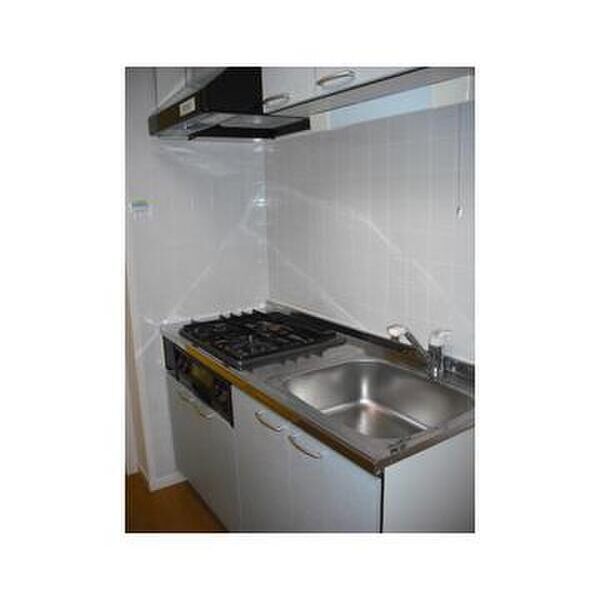 フォンターナ相模大野301号室 キッチン