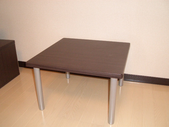 レオネクストアプリ206号室 部屋その他