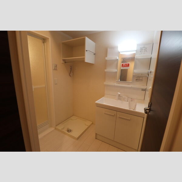 クレセント東住吉101号室 洗面所