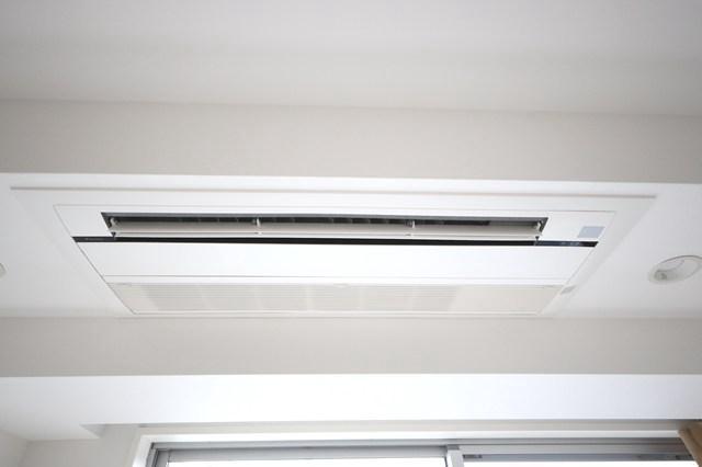 六本木デュープレックスエムズ5階 同建物別部屋の参考画像