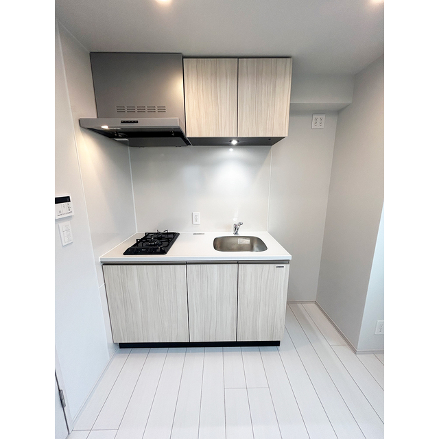 ブランシエスタ品川大井町パークエッジ0401号室 キッチン