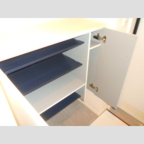 Spazio203号室 玄関