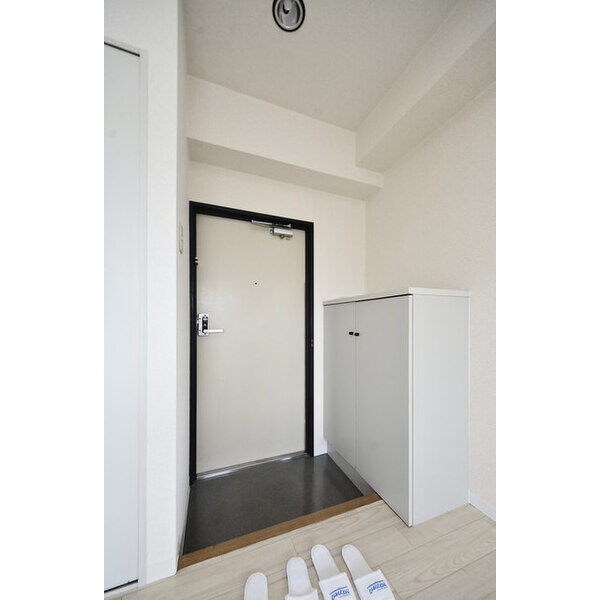 ラ・レジダンス・ド・鷺沼0505号室 玄関