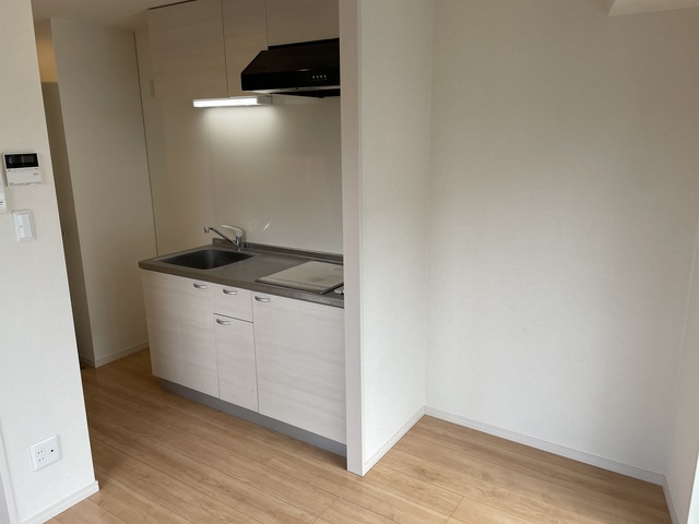 マザーハウス向山0101号室 別号室の写真になります。