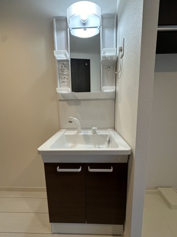 アース長津田205号室 洗面