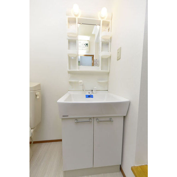 マカロン相模原 洗面