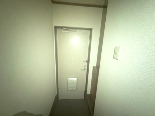 エクセルハイツⅢ番館102号室 クリーニング前の写真です