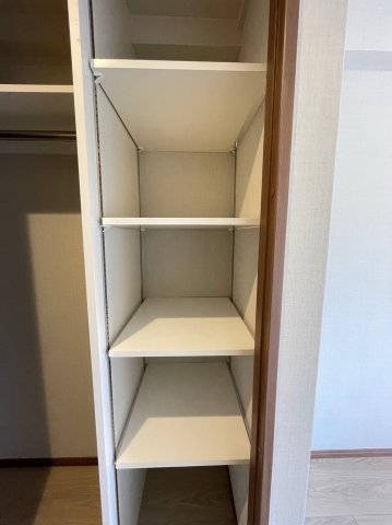 DIPS大山東町2303号室 収納