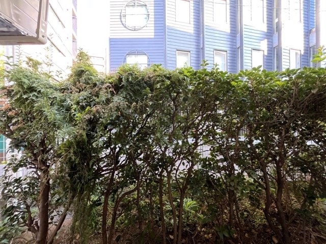 トップ本郷1階 展望