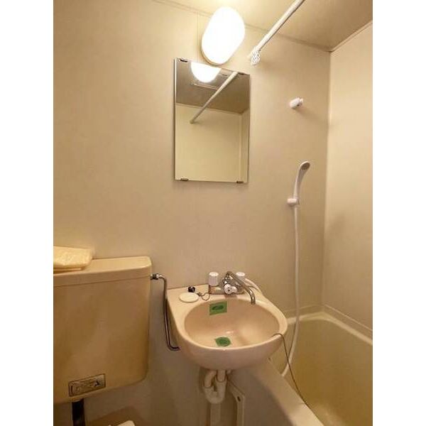 ジュネパレス柏第990203号室 洗面