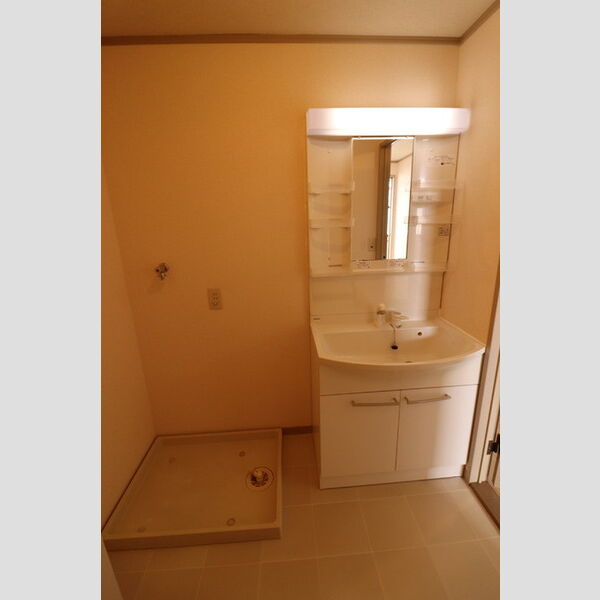 プリシェール桜坂201号室 洗面室