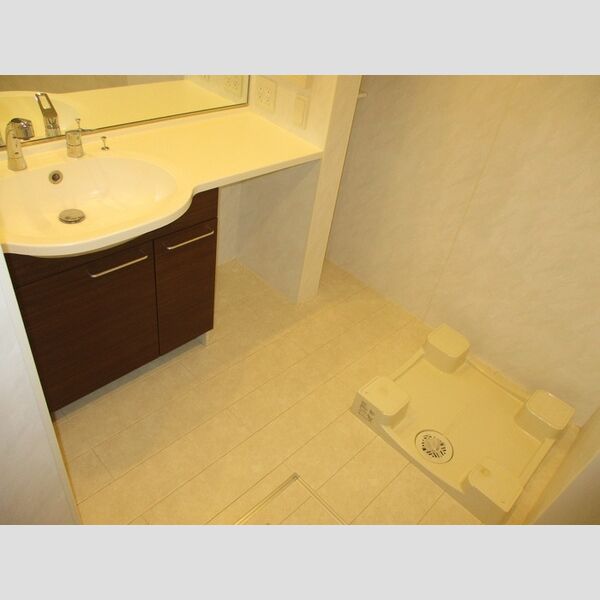 アイチ8　B棟 洗髪洗面化粧台、室内洗濯機置場