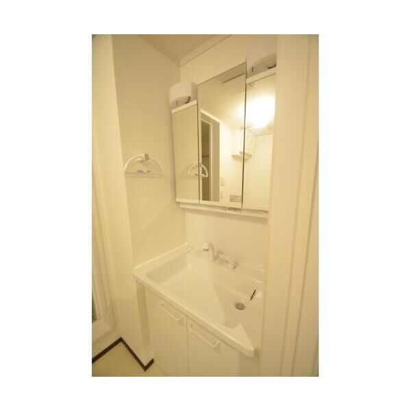 プチハイム202号室 洗面