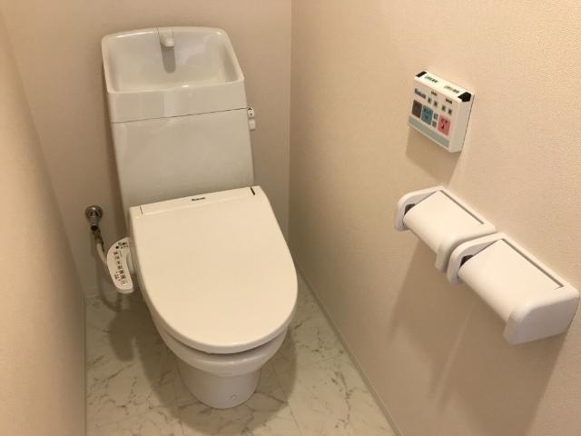 ビスタ湘南201号室 シャワー付トイレ