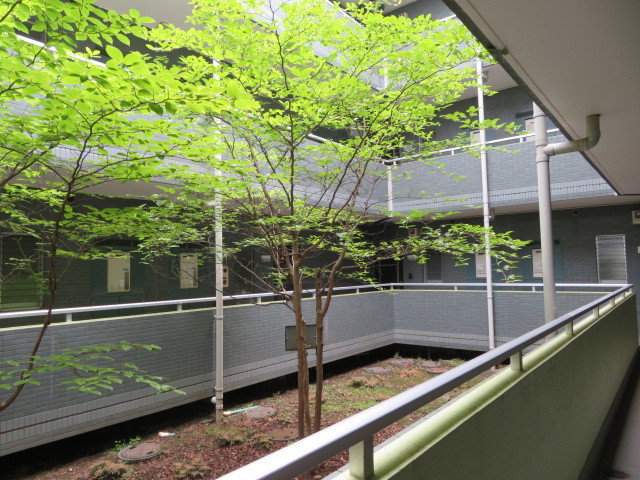 メゾン欅0303号室 中庭