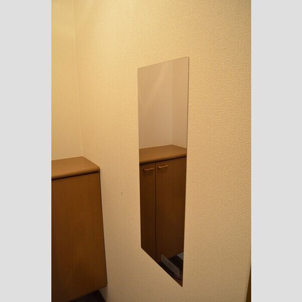 エクレール五井西　AB ステンレス鏡