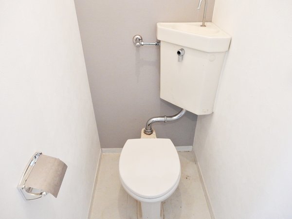 グリーンハイツコバクラ208号室 トイレ