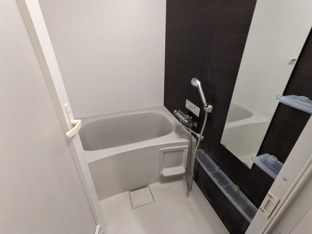 ケーディーエックスレジデンス豊洲431号室 お風呂