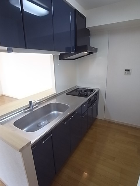 エスペランサ　Ⅱ キッチン