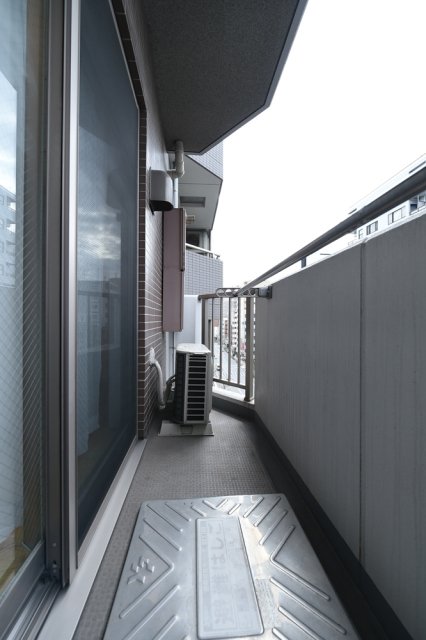 レガリアタワーレジデンス バルコニー