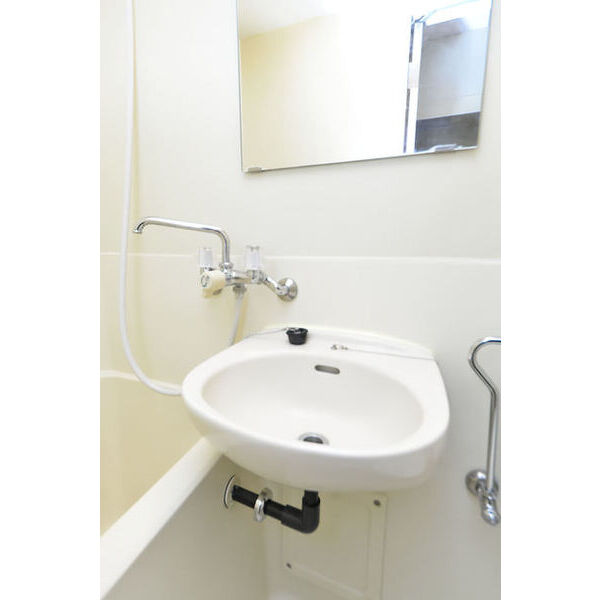 メゾン・ド・オルネ0105号室 洗面