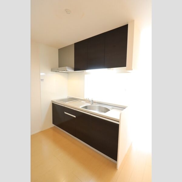 エミナンスⅢ102号室 対面システムキッチン