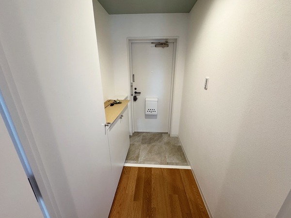 ハイム下鶴間203号室 玄関