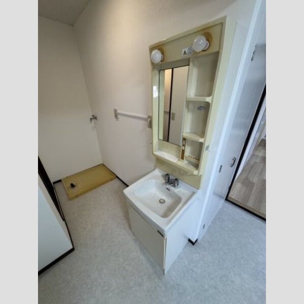 トライアングルハイツ201号室 洗面所