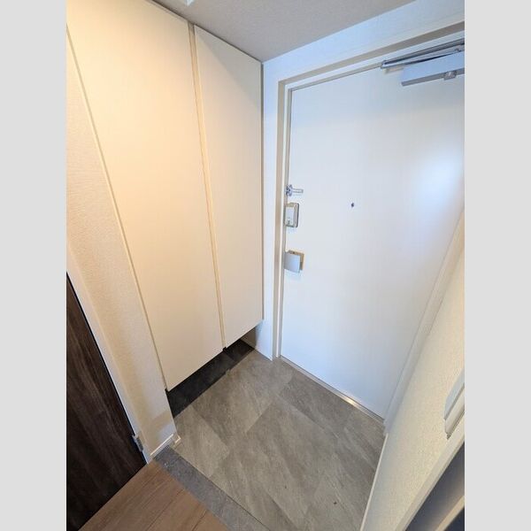 ロイジェント潮見0613号室 玄関