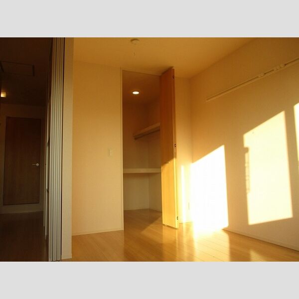 D-ROOM East203号室 収納(洋室)
