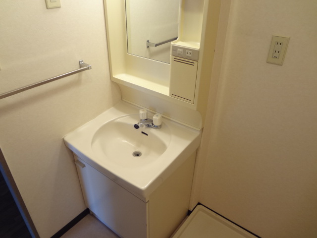 フェ・リーク0201号室 洗面