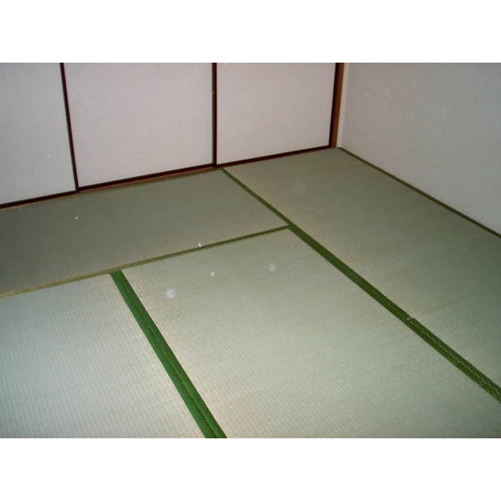 メゾンドール0202号室 リビング