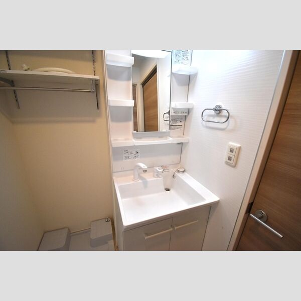 グランメール聖蹟201号室 洗髪洗面化粧台