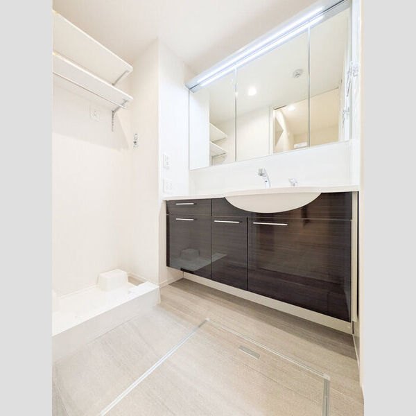 グランヴィル106号室 洗面