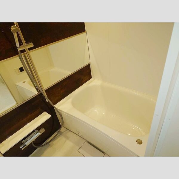 セレスティア興野303号室 浴室